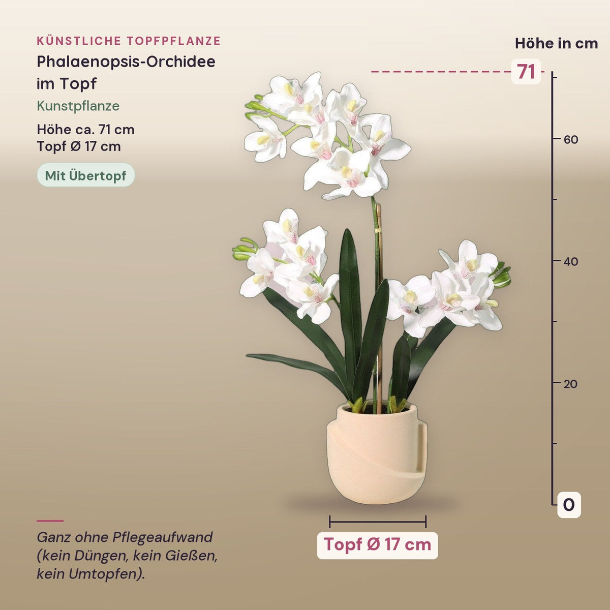 Künstliche Phalaenopsis-Orchidee im Topf, ca. 71 cm – Maße
