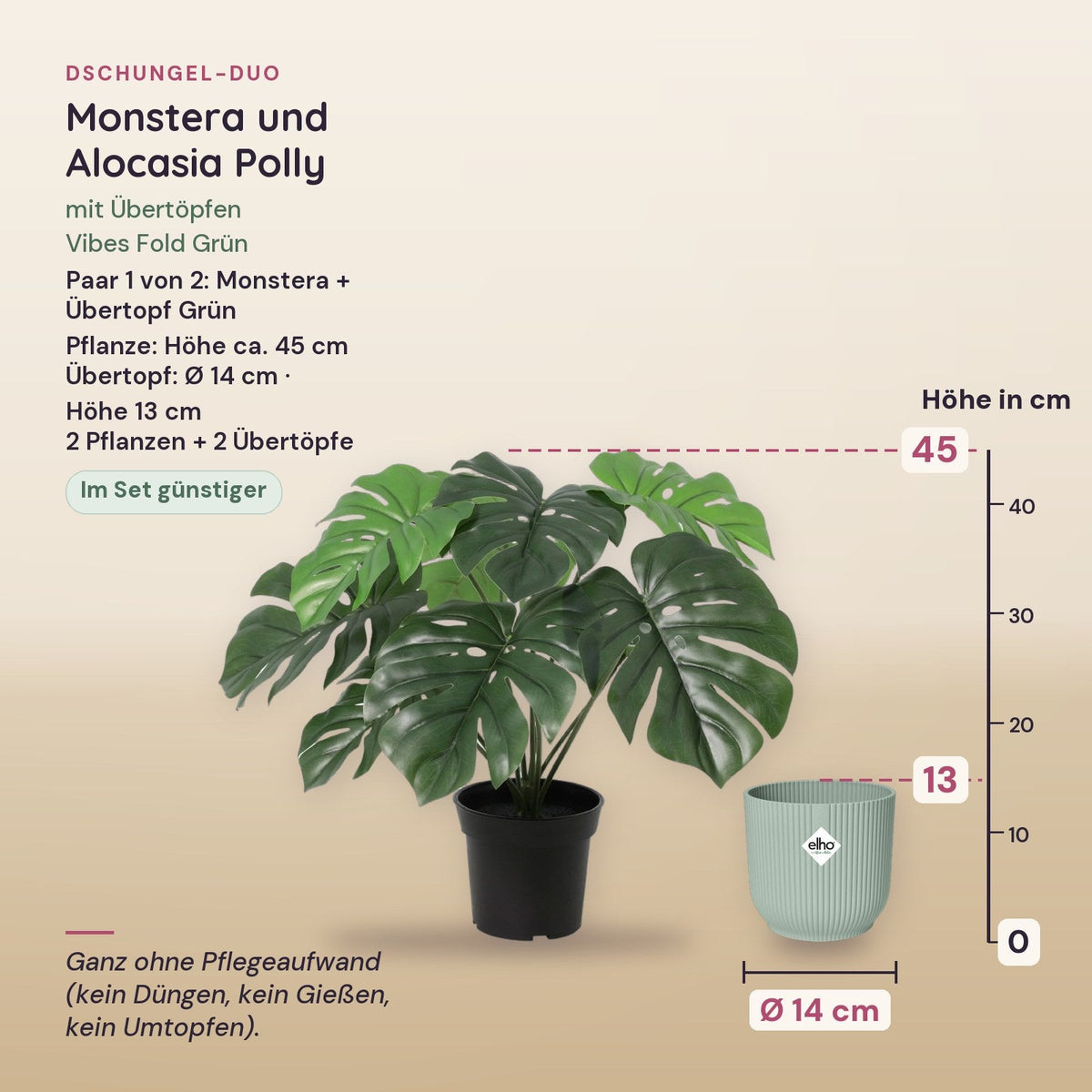 Dschungel-Duo: Monstera (Monstera deliciosa) und Alocasia Polly mit Übertöpfen Vibes Fold Grün – Maße, Paar 1 von 2
