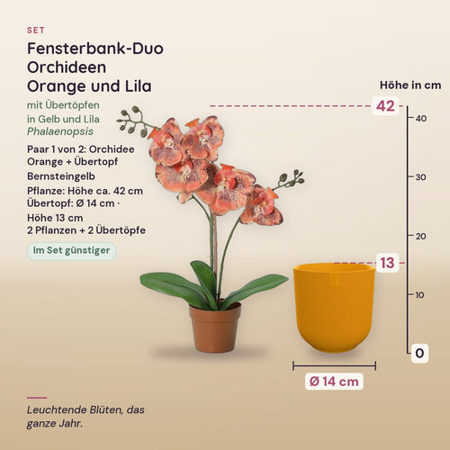 Fensterbank-Duo Orchideen Orange und Lila (Phalaenopsis) mit Übertöpfen in Gelb und Lila – Maße, Paar 1 von 2
