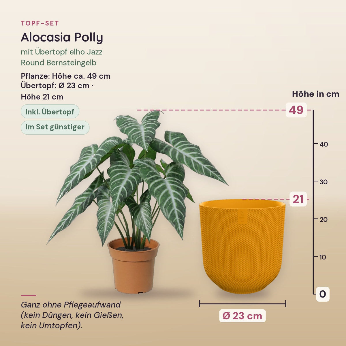 Künstliche Alocasia Polly (Alocasia 'Polly') mit Übertopf elho Jazz Round Bernsteingelb – Maße aller Teile
