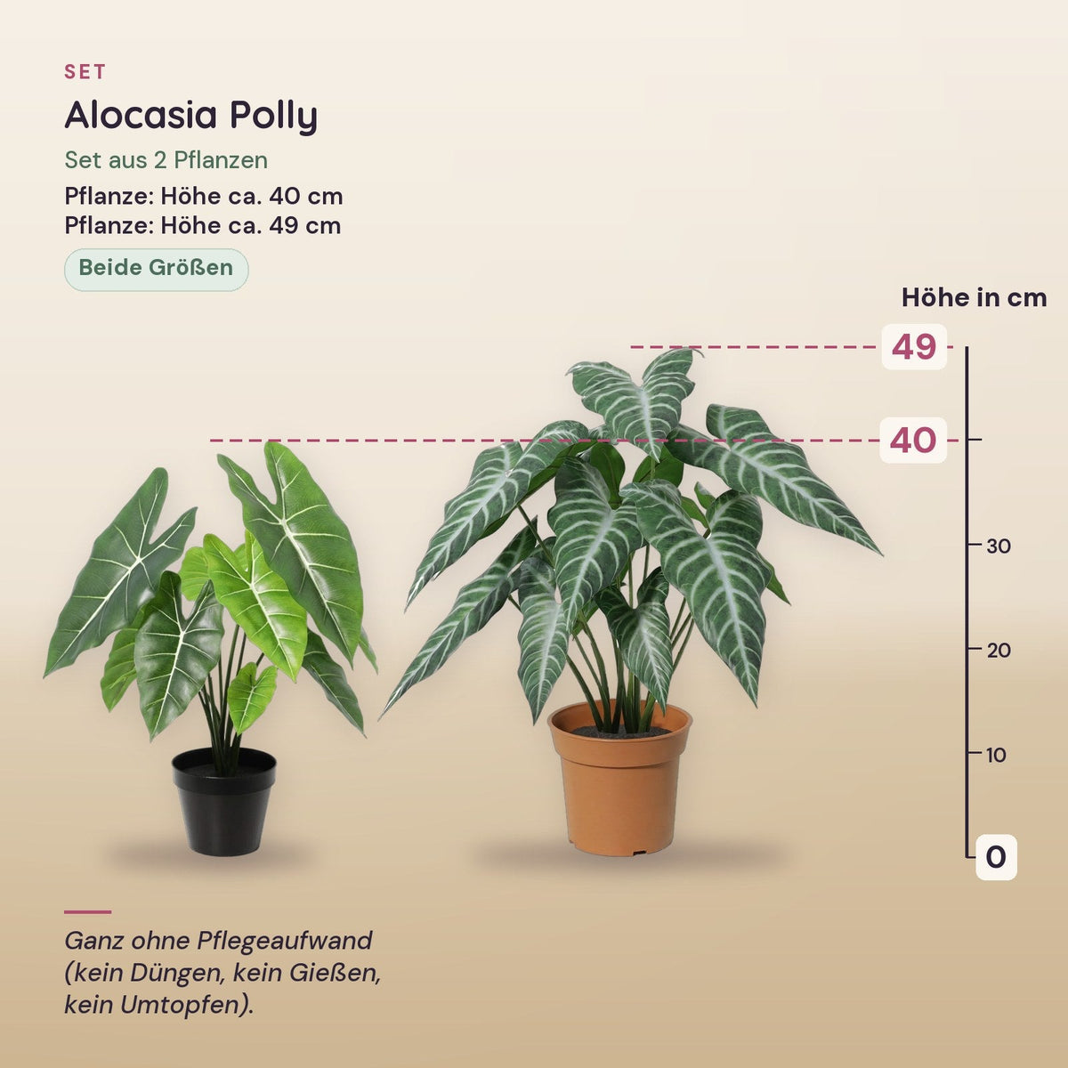 Künstliche Alocasia Polly (Alocasia 'Polly'), Set aus 2 Pflanzen, Höhe ca. 40 und 49 cm – Maße aller Teile