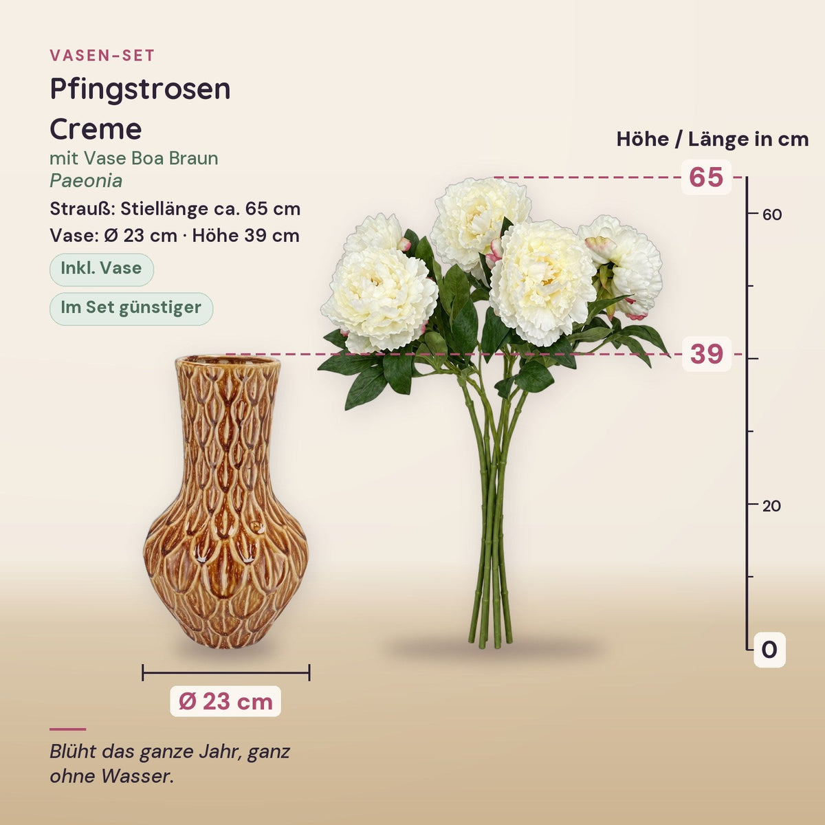 Künstliche Pfingstrosen Creme (Paeonia) mit Vase Boa Braun – Maße aller Teile