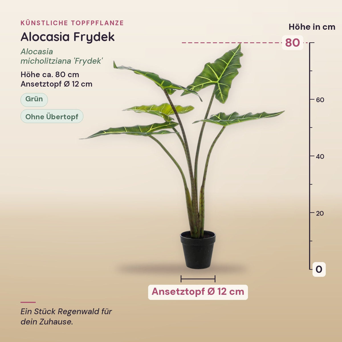 Künstliche Alocasia Frydek (Alocasia micholitziana 'Frydek') – Maße, ca. 80 cm