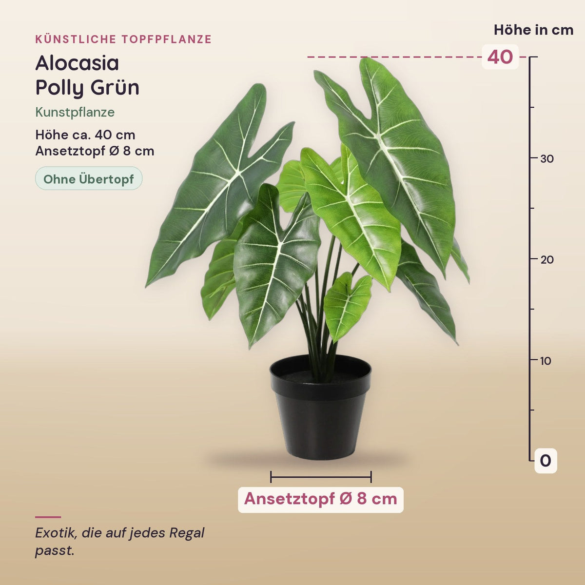 Künstliche Alocasia Polly (Alocasia 'Polly') – Maße, ca. 40 cm