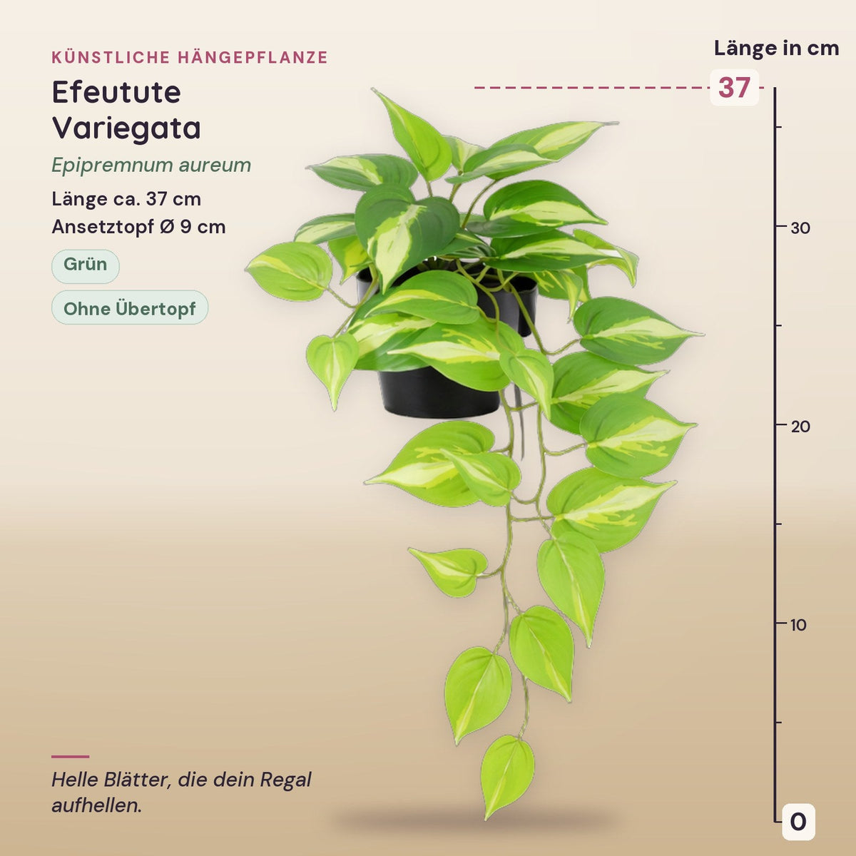 Künstliche Efeutute Variegata (Epipremnum aureum) – Maße, ca. 37 cm