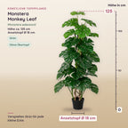 Künstliche Monstera Monkey Leaf (Monstera adansonii) – Maße, ca. 125 cm