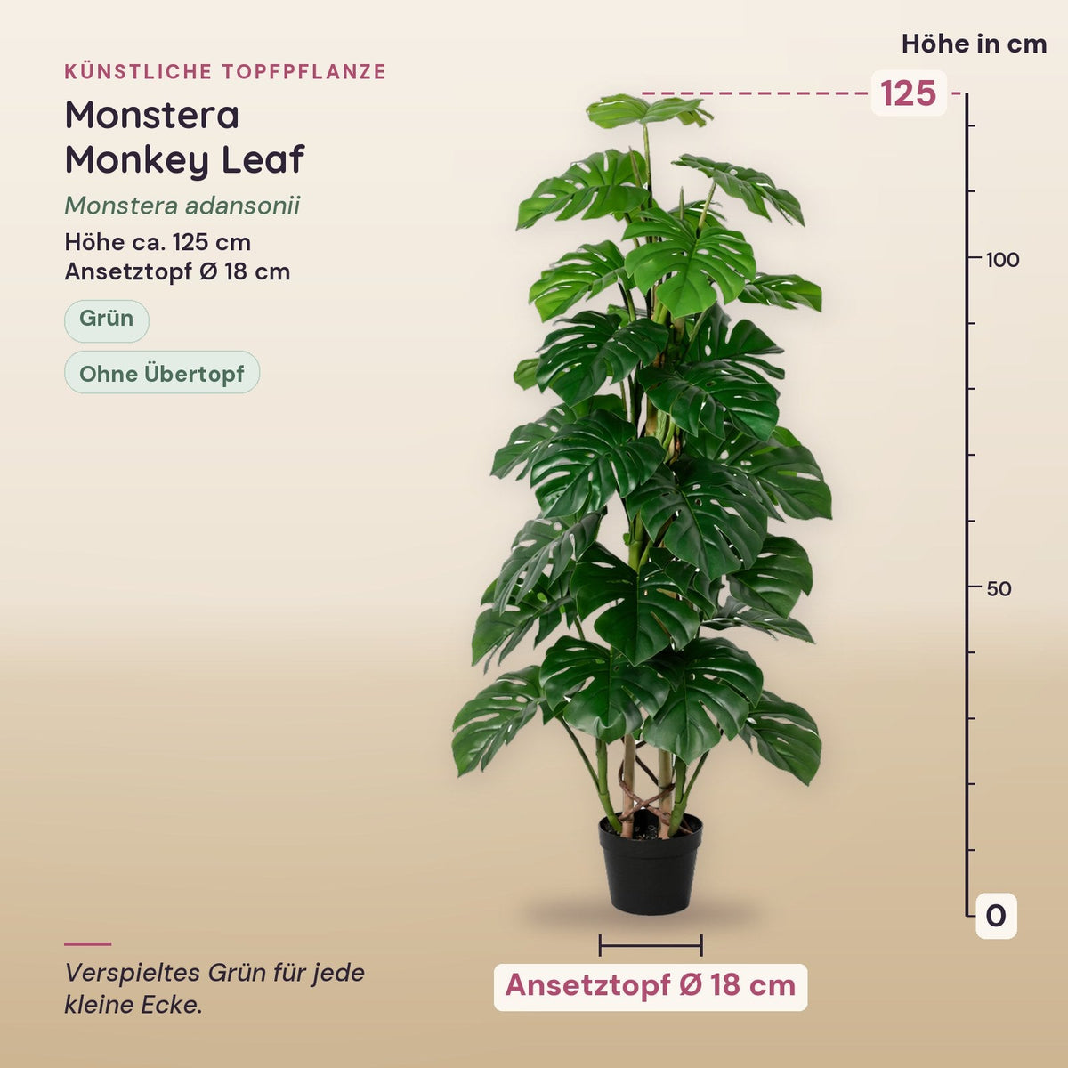 Künstliche Monstera Monkey Leaf (Monstera adansonii) – Maße, ca. 125 cm