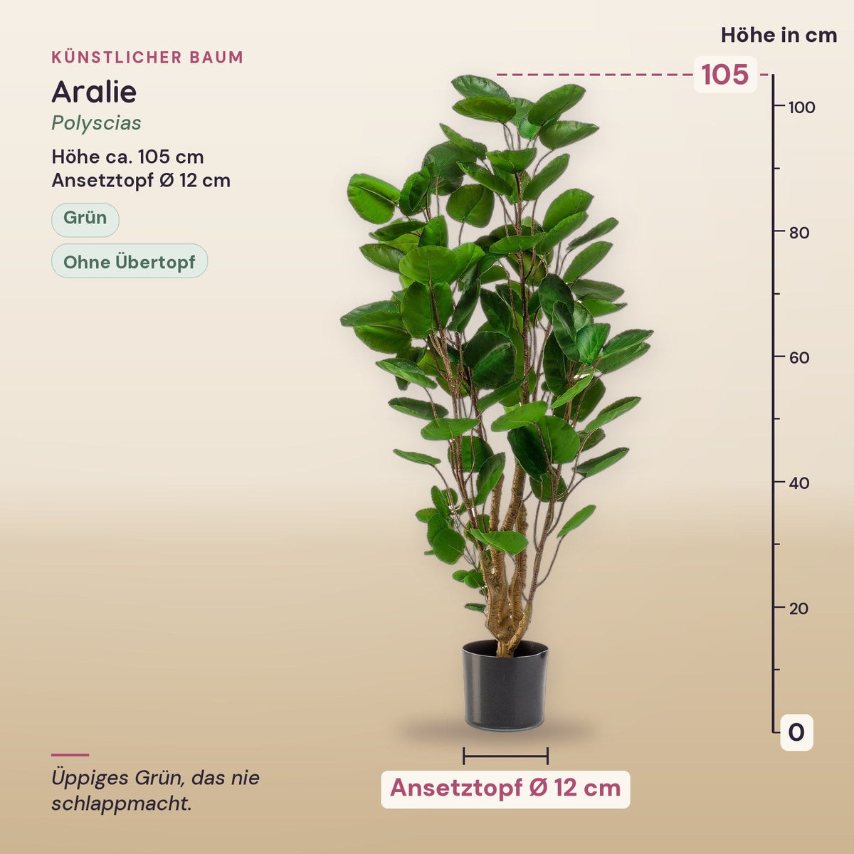 Künstliche Aralie (Polyscias) – Maße, ca. 105 cm