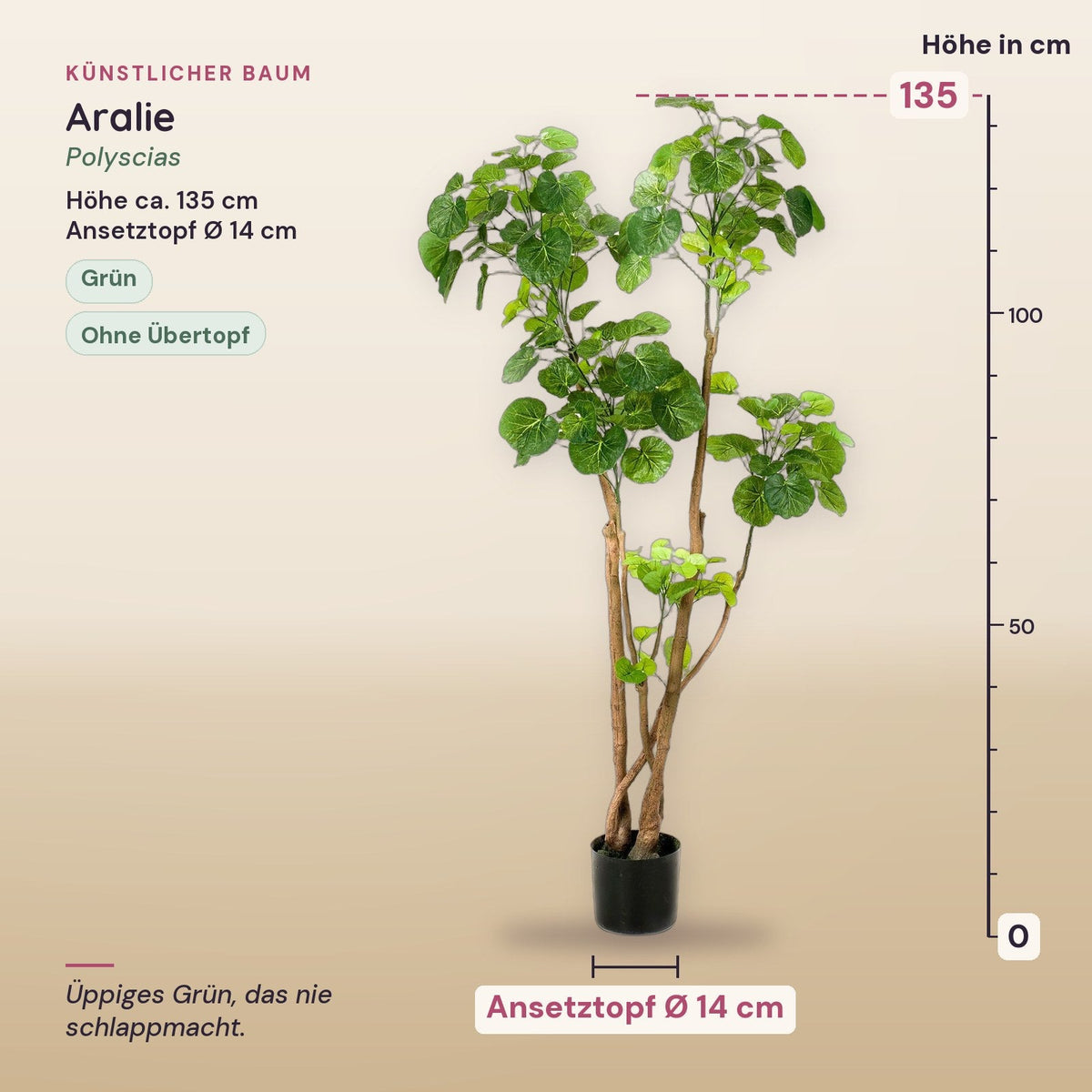 Künstliche Aralie (Polyscias) – Maße, ca. 135 cm
