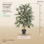 Künstliche Birkenfeige Variegata (Ficus benjamina) – Maße, ca. 85 cm