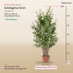 Künstlicher Eukalyptus Grün (Eucalyptus) – Maße, ca. 120 cm