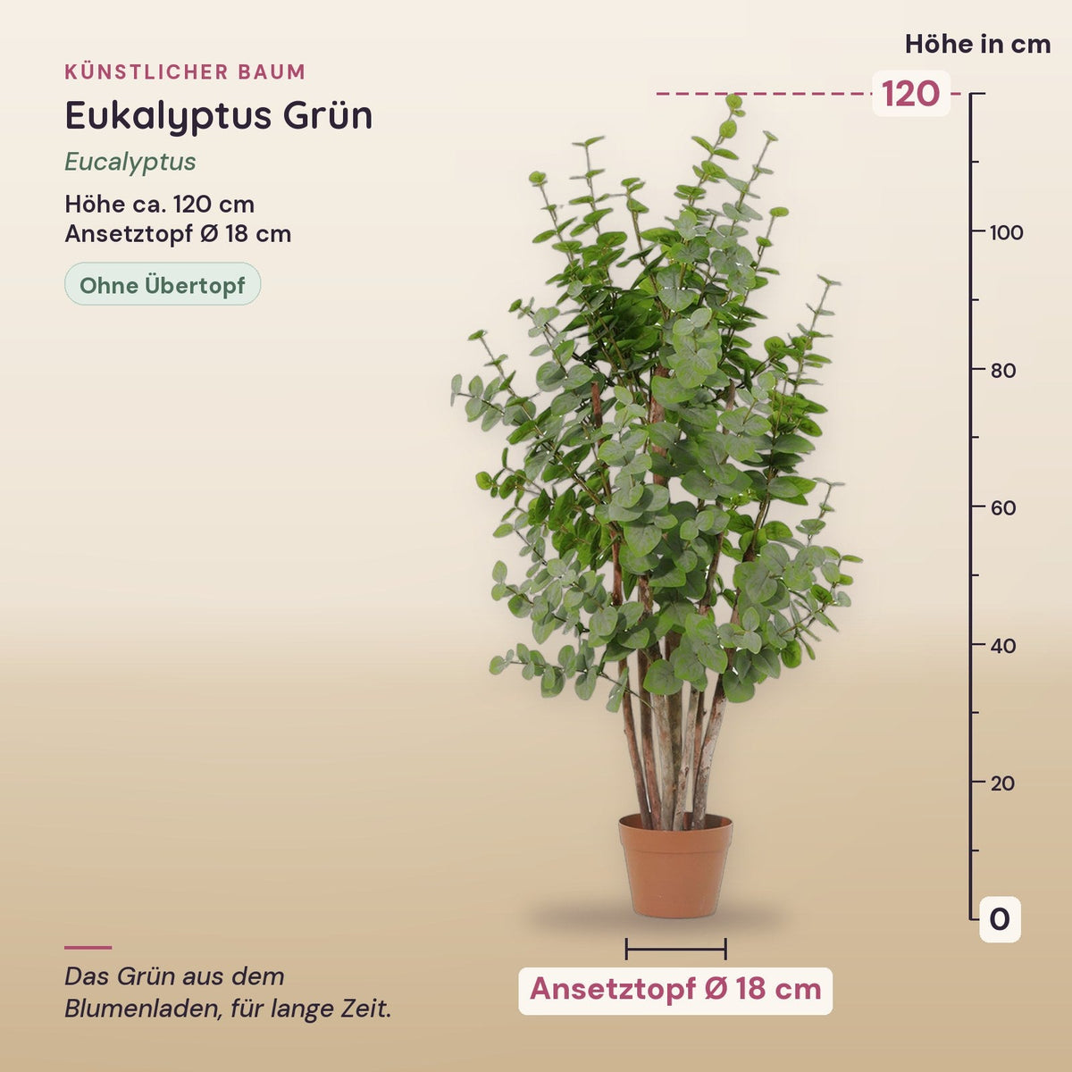 Künstlicher Eukalyptus Grün (Eucalyptus) – Maße, ca. 120 cm