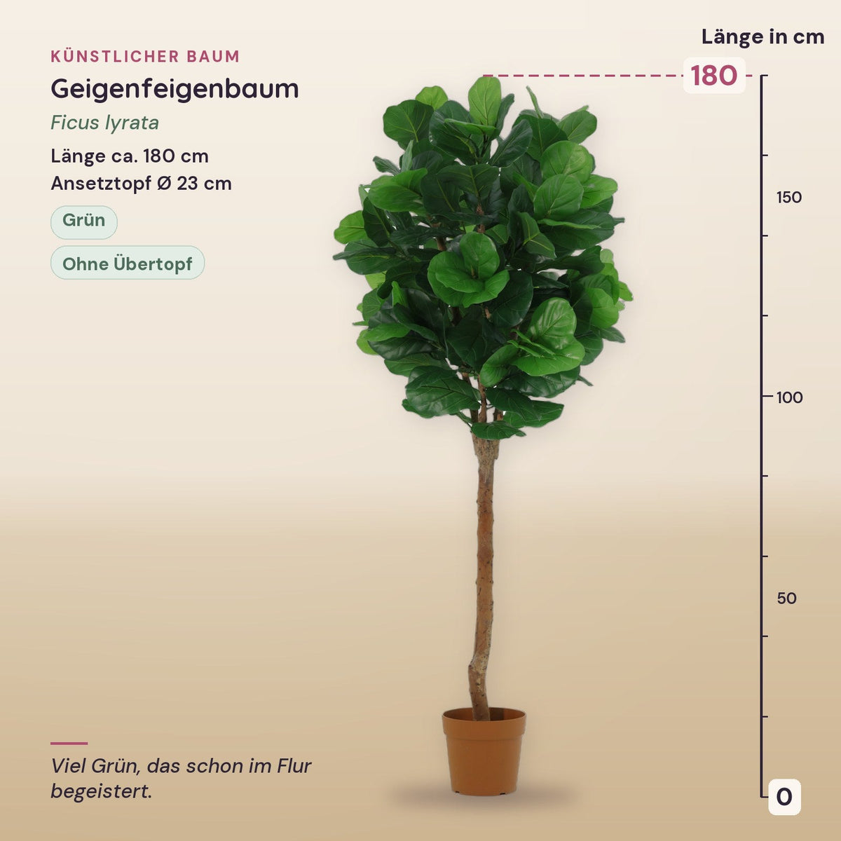 Künstlicher Geigenfeigenbaum (Ficus lyrata) – Maße, ca. 180 cm