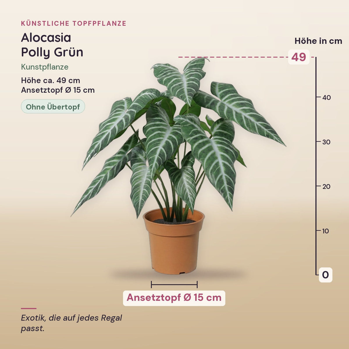 Künstliche Alocasia Polly (Alocasia 'Polly') – Maße, ca. 49 cm