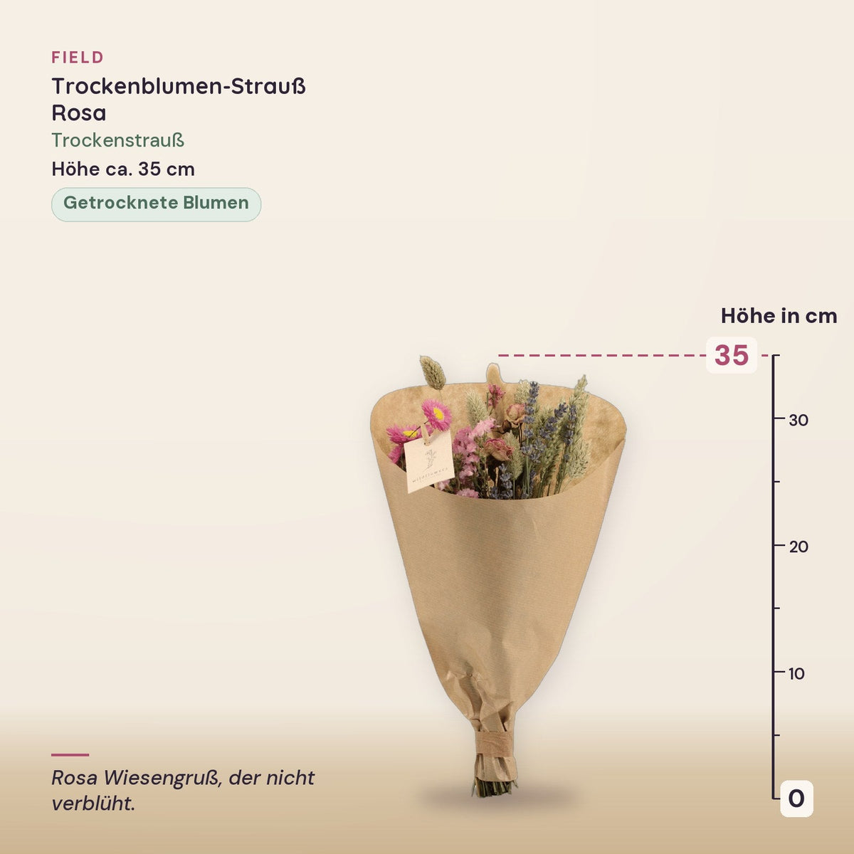 Trockenblumen-Strauß »Field« Rosa – Maße, ca. 35 cm