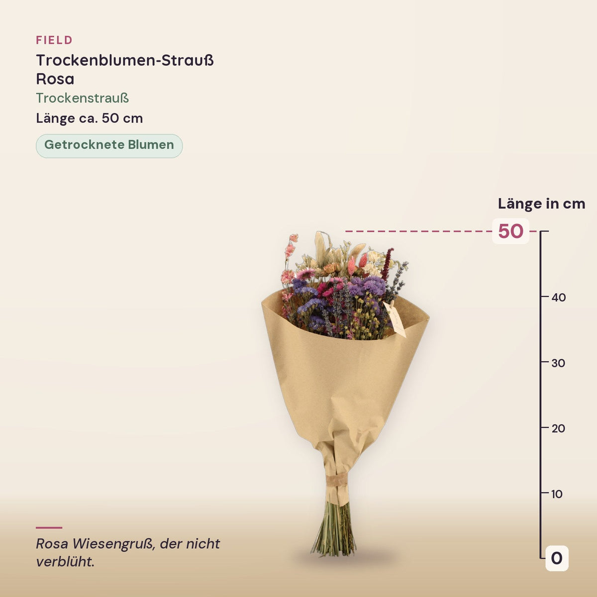 Trockenblumen-Strauß »Field« Rosa – Maße, ca. 50 cm