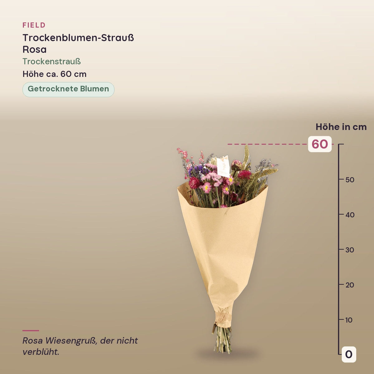Trockenblumen-Strauß »Field« Rosa – Maße, ca. 60 cm