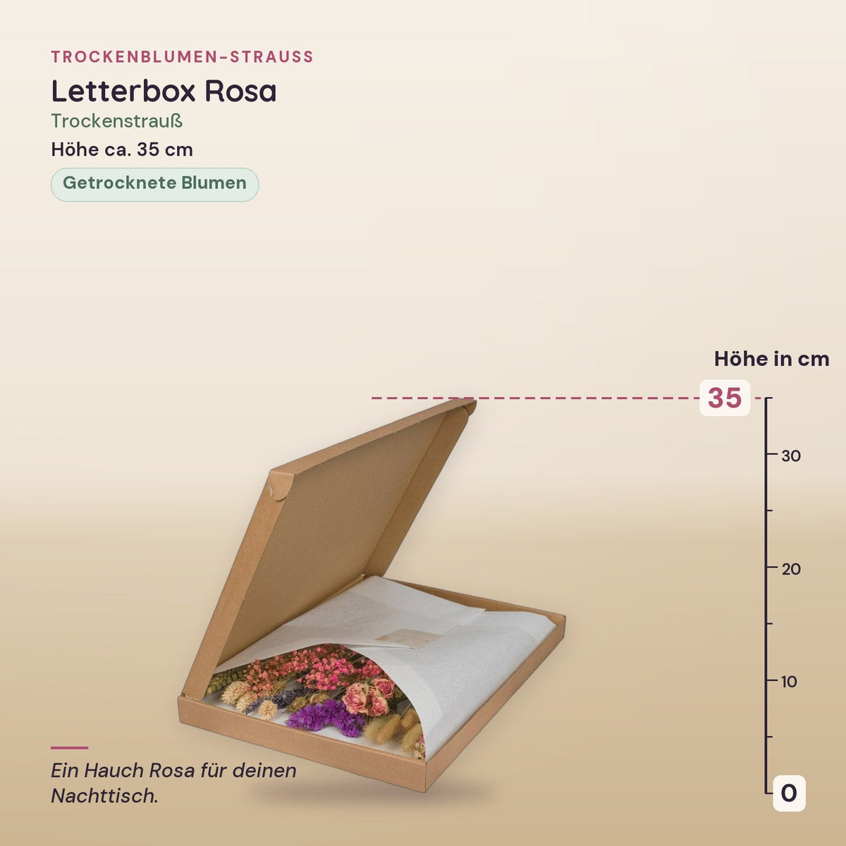 Trockenblumen-Strauß »Letterbox« Rosa, ca. 35 cm – Maße