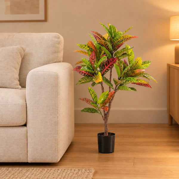Künstlicher Wunderstrauch (Codiaeum variegatum)