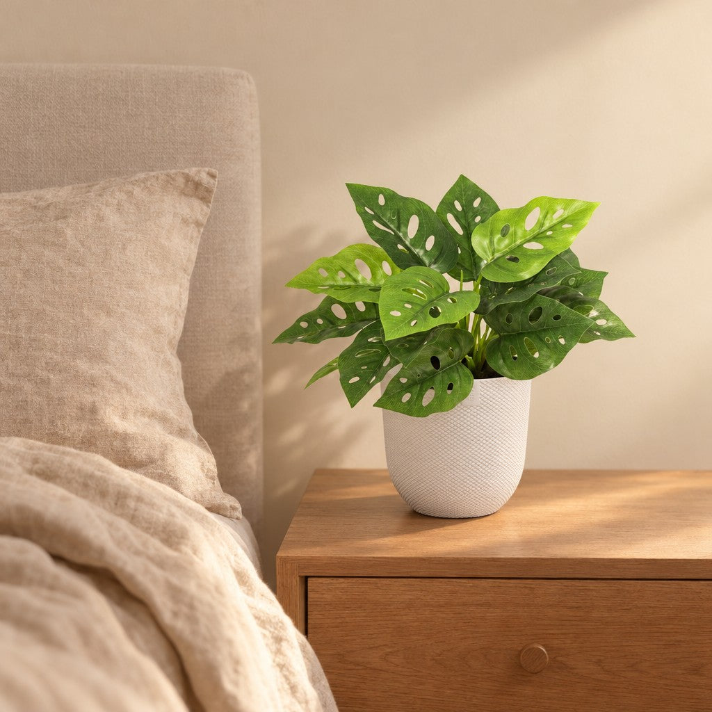 Künstliche Monstera Monkey Leaf (Monstera adansonii) – Raumbild, ca. 22 cm, im Übertopf elho Jazz Round Weiß, Übertopf nicht enthalten