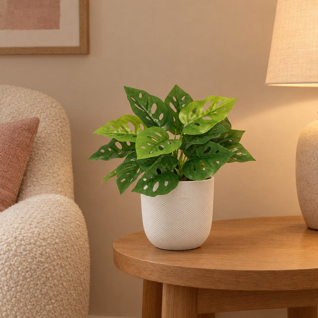 Künstliche Monstera Monkey Leaf (Monstera adansonii) – Raumbild, ca. 22 cm, im Übertopf elho Jazz Round Weiß, Übertopf nicht enthalten