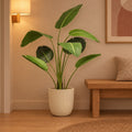 Künstliche Paradiesvogelblume (Strelitzia) – Raumbild, ca. 120 cm, im Übertopf Capi Nature Groove, Beige, Übertopf nicht enthalten