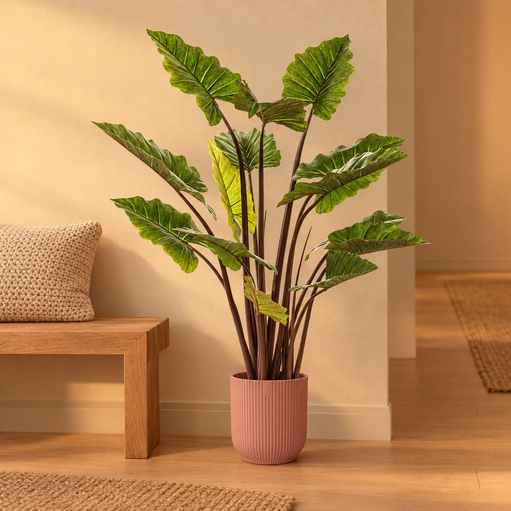 Künstliches Elefantenohr »Pink China« (Colocasia esculenta), ca. 130 cm – Raumbild im Übertopf elho Vibes Fold Round Rosa, Übertopf nicht enthalten