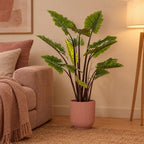 Künstliches Elefantenohr »Pink China« (Colocasia esculenta), ca. 130 cm – Raumbild im Übertopf elho Vibes Fold Round Rosa, Übertopf nicht enthalten