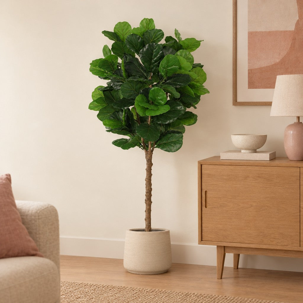 Künstlicher Geigenfeigenbaum (Ficus lyrata) – Raumbild, ca. 160 cm, im Übertopf Jumbo Patt, Ø 23 cm, Beige verwaschen, Übertopf nicht enthalten