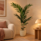 Künstliche Kentiapalme (Howea forsteriana) – Raumbild, ca. 150 cm, im Übertopf Capi Nature Groove, Beige, Übertopf nicht enthalten