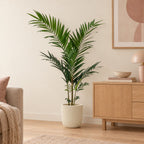 Künstliche Kentiapalme (Howea forsteriana) – Raumbild, ca. 150 cm, im Übertopf Capi Nature Groove, Beige, Übertopf nicht enthalten