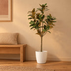 Künstliche Magnolie (Magnolia grandiflora) – Raumbild, ca. 150 cm, im Übertopf elho Brussels Round Weiß, Übertopf nicht enthalten