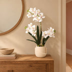 Künstliche Phalaenopsis-Orchidee im Topf, ca. 71 cm – Raumbild