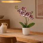 Künstliche Phalaenopsis-Orchidee Lila, ca. 41 cm – Raumbild im Übertopf elho Jazz Round Weiß, Übertopf nicht enthalten