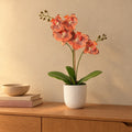 Künstliche Phalaenopsis-Orchidee Orange, ca. 42 cm – Raumbild im Übertopf elho Jazz Round Weiß, Übertopf nicht enthalten