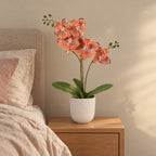 Künstliche Phalaenopsis-Orchidee Orange, ca. 42 cm – Raumbild im Übertopf elho Jazz Round Weiß, Übertopf nicht enthalten