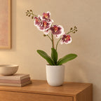 Künstliche Phalaenopsis-Orchidee Violett-Weiß, ca. 43 cm – Raumbild im Übertopf elho Jazz Round Weiß, Übertopf nicht enthalten