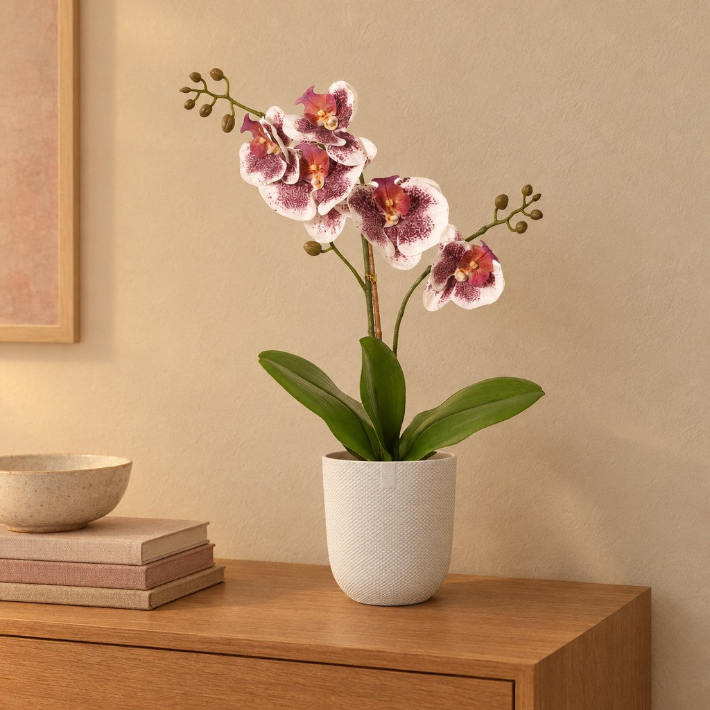 Künstliche Phalaenopsis-Orchidee Violett-Weiß, ca. 43 cm – Raumbild im Übertopf elho Jazz Round Weiß, Übertopf nicht enthalten