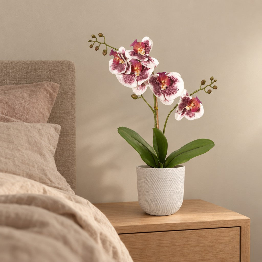 Künstliche Phalaenopsis-Orchidee Violett-Weiß, ca. 43 cm – Raumbild im Übertopf elho Jazz Round Weiß, Übertopf nicht enthalten