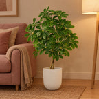 Künstliche Schefflera, ca. 120 cm – Raumbild im Übertopf elho Jazz Round Weiß, Übertopf nicht enthalten