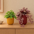 Fensterbank-Duo Bunt: Wachsblume (Hoya) und Tradescantia mit Übertöpfen in Gelb und Rot – Raumbild