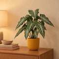 Künstliche Alocasia Polly (Alocasia 'Polly') mit Übertopf elho Jazz Round Bernsteingelb – Raumbild