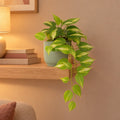 Künstliche Efeutute Variegata (Epipremnum aureum) mit Übertopf elho Vibes Fold Round Grün – Raumbild