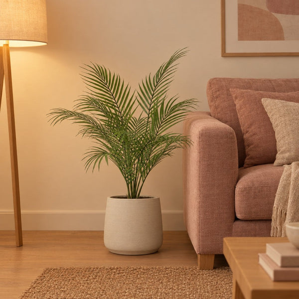Künstliche Kentia-Palme (Howea forsteriana) mit Übertopf Jumbo Patt Beige verwaschen