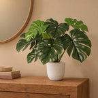 Künstliche Monstera (Monstera deliciosa) mit Übertopf elho Jazz Round Weiß – Raumbild