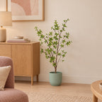 Künstliche Myrte (Myrtus communis) mit Übertopf elho Vibes Fold Round Grün – Raumbild