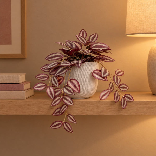 Künstliche Tradescantia mit Übertopf elho Jazz Round Weiß