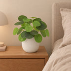 Künstliche Ufopflanze (Pilea peperomioides), ca. 17,5 cm – Raumbild, Übertopf nicht enthalten