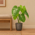 Künstlicher Philodendron, ca. 100 cm, mit Übertopf Palermo Marble Grau – Raumbild