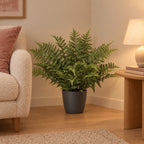 Künstlicher Schwertfarn (Nephrolepis), ca. 59 cm – Raumbild, Übertopf nicht enthalten